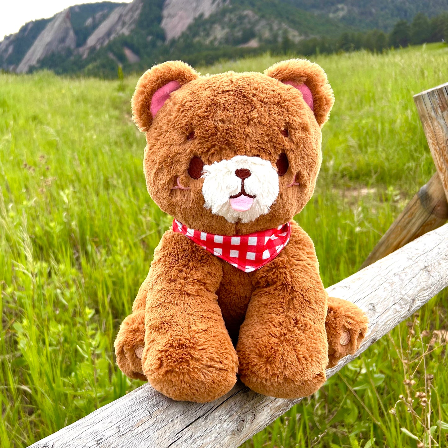 Picnic Pal Plushie Strawberry Scented