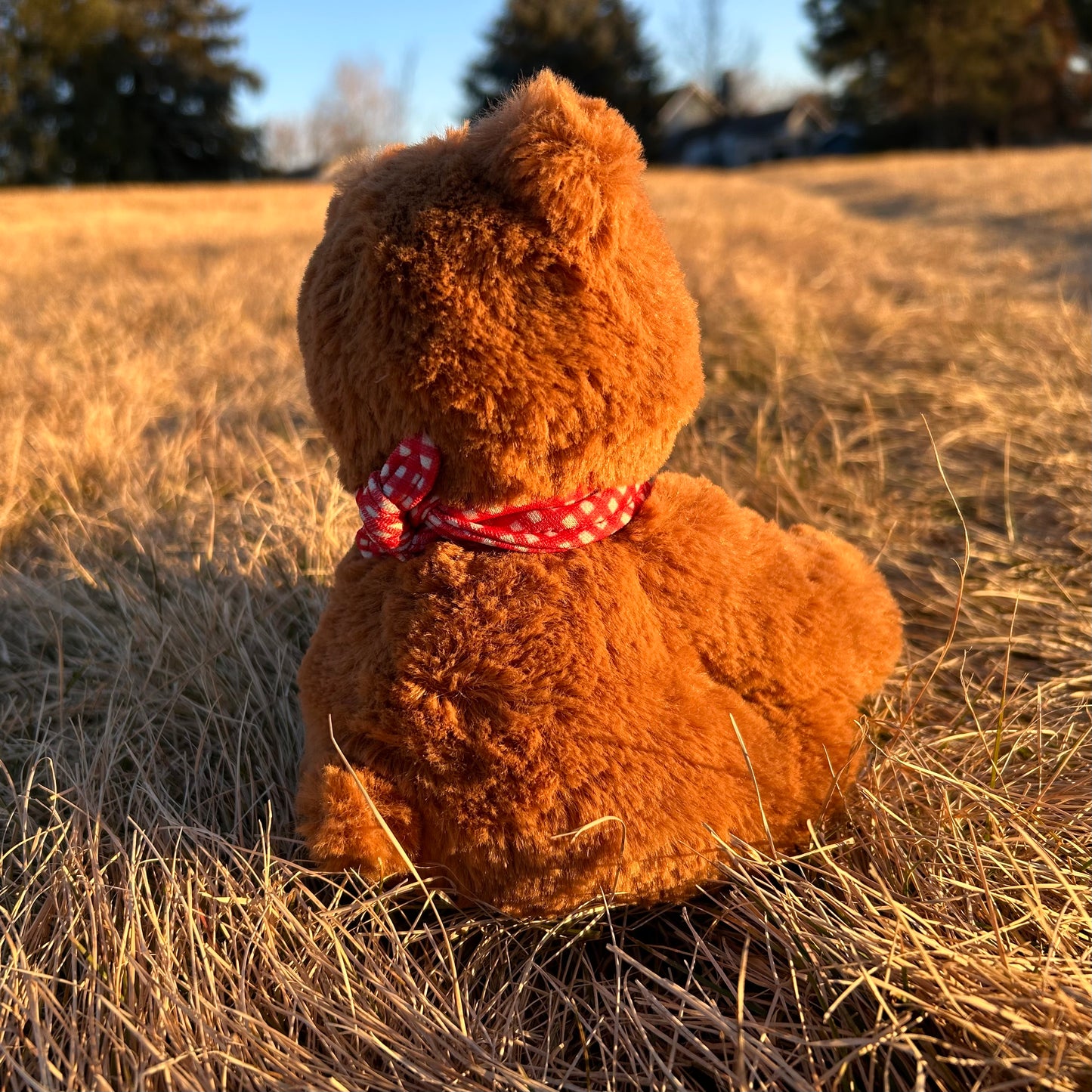 Mini Paulie Bear Strawberry Scented